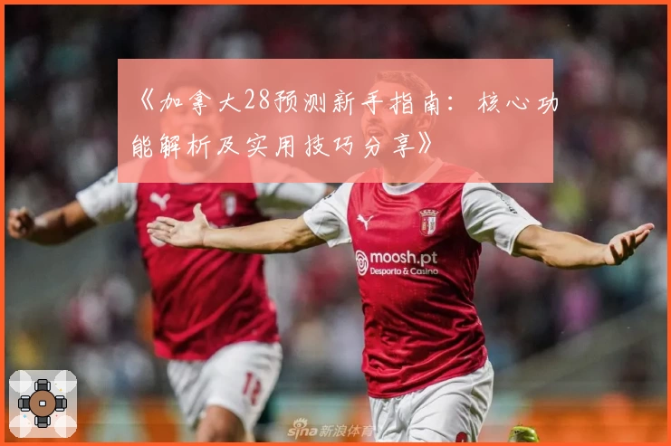 《加拿大28预测新手指南：核心功能解析及实用技巧分享》