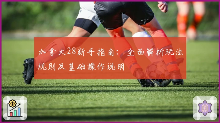 加拿大28新手指南：全面解析玩法规则及基础操作说明