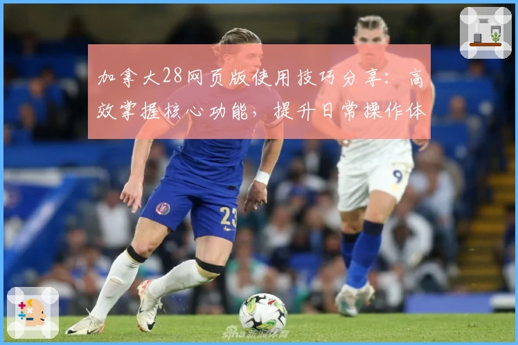 加拿大28网页版使用技巧分享：高效掌握核心功能，提升日常操作体验