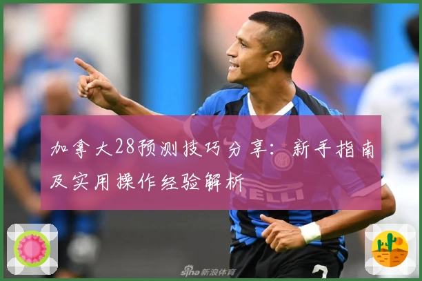 加拿大28预测技巧分享：新手指南及实用操作经验解析