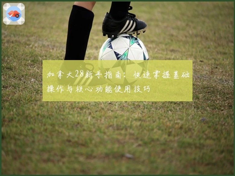 加拿大28新手指南：快速掌握基础操作与核心功能使用技巧