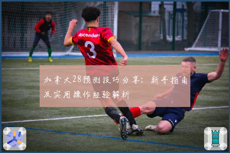 加拿大28预测技巧分享：新手指南及实用操作经验解析