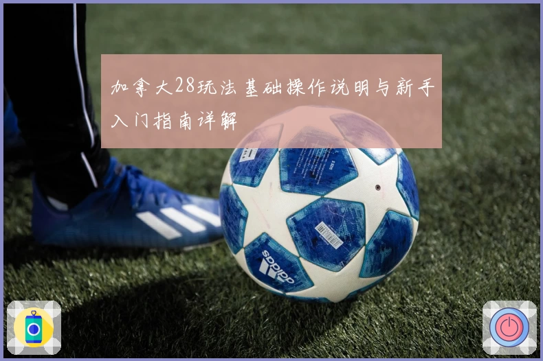 加拿大28玩法基础操作说明与新手入门指南详解