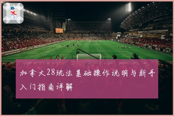 加拿大28玩法基础操作说明与新手入门指南详解