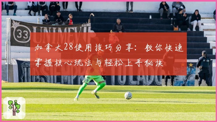 加拿大28使用技巧分享：教你快速掌握核心玩法与轻松上手秘诀